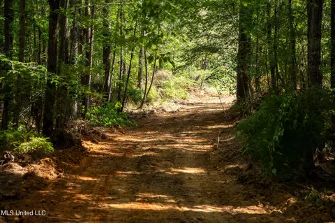 Hwy 18, Puckett, MS 39042 photo 18