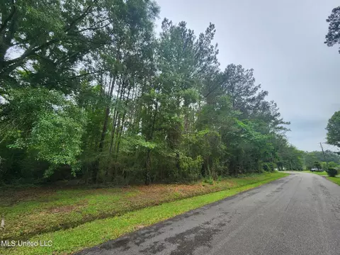 Alan Road, Carriere, MS 39426