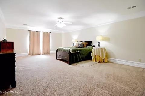 Bedroom - 1234 Greers Landing Dr, Hernando, MS 38632 photo 5 of 5