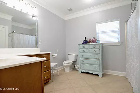 Bath - 1234 Greers Landing Dr, Hernando, MS 38632 photo 4 of 5