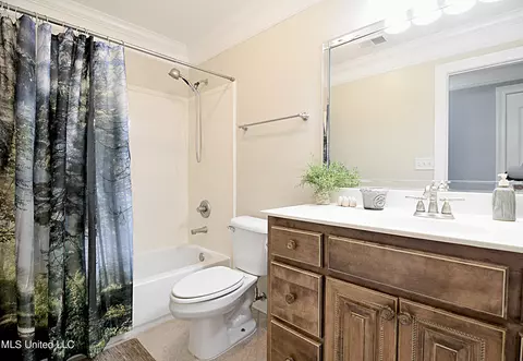 Bath - 1234 Greers Landing Dr, Hernando, MS 38632 photo 5 of 5
