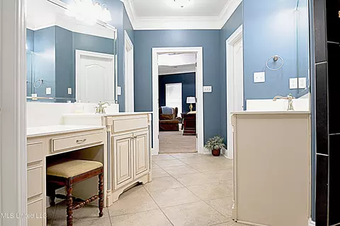 Bath - 1234 Greers Landing Dr, Hernando, MS 38632 photo 3 of 5