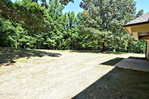 4810 Bluff Rd, Hernando, MS 38632 photo 24