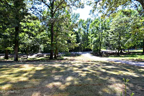4810 Bluff Rd, Hernando, MS 38632 photo 26
