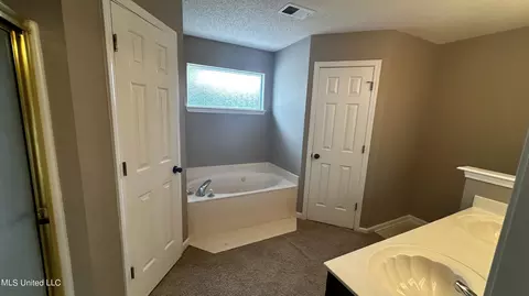 Bath - 6835 E Ranch Ridge Cv, Walls, MS 38680 photo 1 of 3