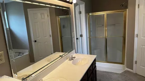 Bath - 6835 E Ranch Ridge Cv, Walls, MS 38680 photo 2 of 3