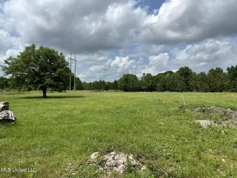 29 Old Mill Rd, Picayune, MS 39466 photo 4