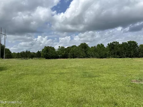 29 Old Mill Rd, Picayune, MS 39466 photo 10