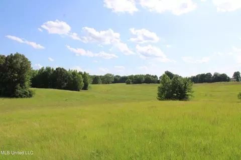 2196 S Baldwin Rd, Hernando, MS 38632 photo 59