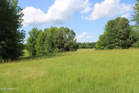 2196 S Baldwin Rd, Hernando, MS 38632 photo 54