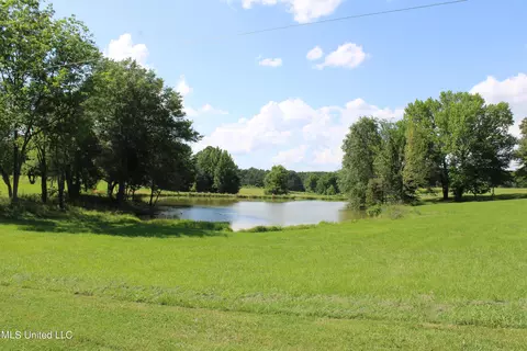 2196 S Baldwin Rd, Hernando, MS 38632 photo 42