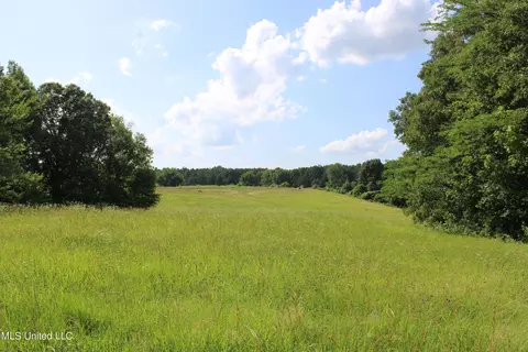 2196 S Baldwin Rd, Hernando, MS 38632 photo 53