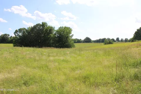 2196 S Baldwin Rd, Hernando, MS 38632 photo 57