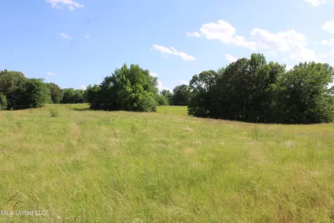 2196 S Baldwin Rd, Hernando, MS 38632 photo 58