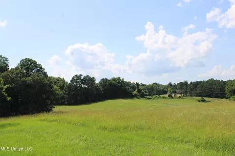 2196 S Baldwin Rd, Hernando, MS 38632 photo 51