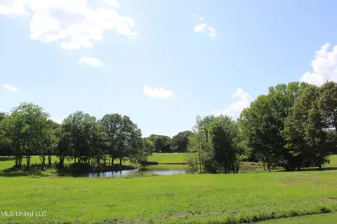 2196 S Baldwin Rd, Hernando, MS 38632 photo 49