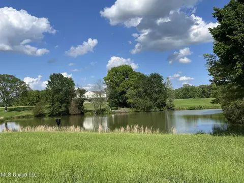 2196 S Baldwin Rd, Hernando, MS 38632 photo 69