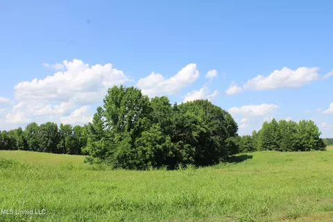 2196 S Baldwin Rd, Hernando, MS 38632 photo 40