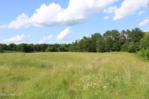 2196 S Baldwin Rd, Hernando, MS 38632 photo 56