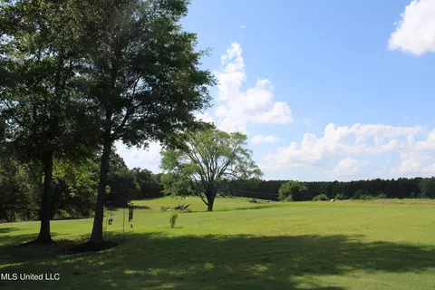 2196 S Baldwin Rd, Hernando, MS 38632 photo 50