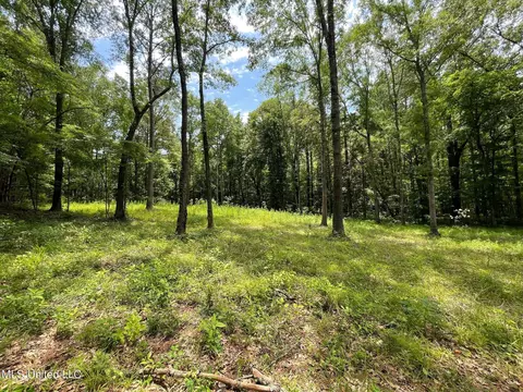 4049 Ms-16, Canton, MS 39046