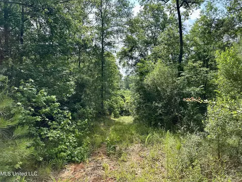 Harris Road, Mccomb, MS 39648 photo 10