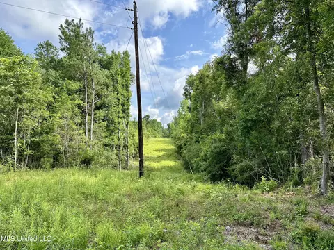 Harris Road, Mccomb, MS 39648 photo 8
