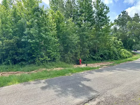 Harris Road, Mccomb, MS 39648 photo 4