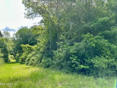 Harris Road, Mccomb, MS 39648 photo 5