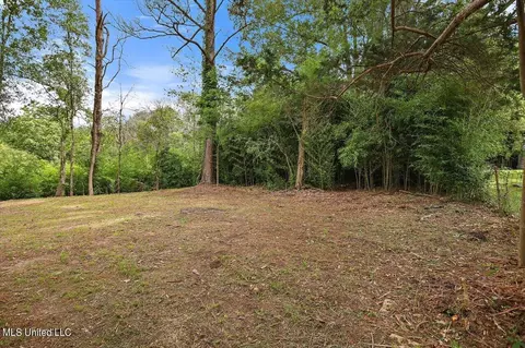 5082 Lurline Dr, Jackson, MS 39204 photo 24