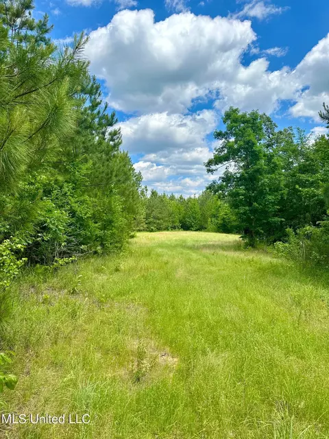 00 Attala Cr 4210, Kosciusko, MS 39090