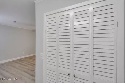 344 Herrington Cv, Brandon, MS 39042 photo 13