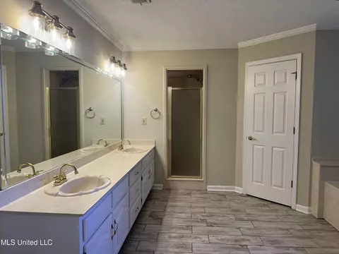 Bath - 6705 Craft Rd, Olive Branch, MS 38654 photo 2 of 3