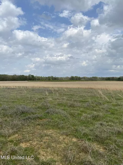 Canton Parkway, Canton, MS 39046 photo 2