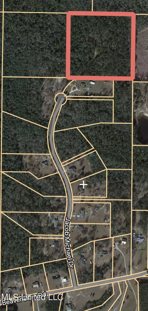 00 Jacob Michael Dr, Perkinston, MS 39573
