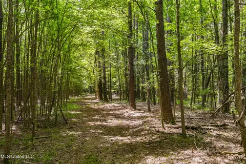 Spring Road, Flora, MS 39071 photo 9
