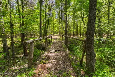 Spring Road, Flora, MS 39071 photo 16