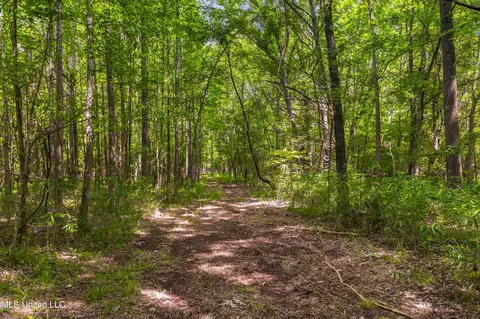 Spring Road, Flora, MS 39071 photo 14