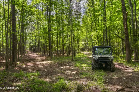 Spring Road, Flora, MS 39071 photo 12