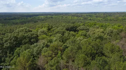 Spring Road, Flora, MS 39071 photo 33