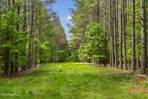 Spring Road, Flora, MS 39071 photo 4