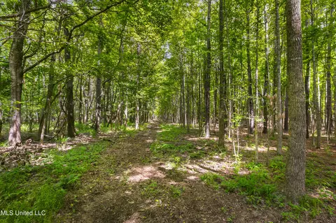 Spring Road, Flora, MS 39071 photo 8