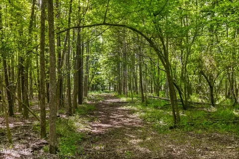 Spring Road, Flora, MS 39071 photo 5