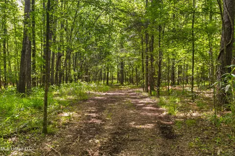 Spring Road, Flora, MS 39071 photo 15