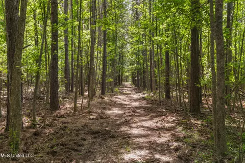 Spring Road, Flora, MS 39071 photo 11
