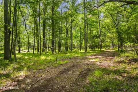 Spring Road, Flora, MS 39071 photo 22