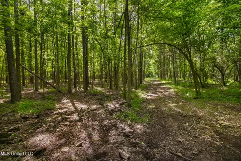 Spring Road, Flora, MS 39071 photo 6