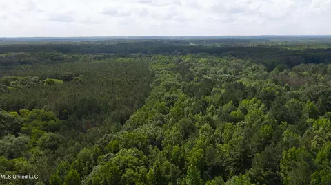 Spring Road, Flora, MS 39071 photo 38