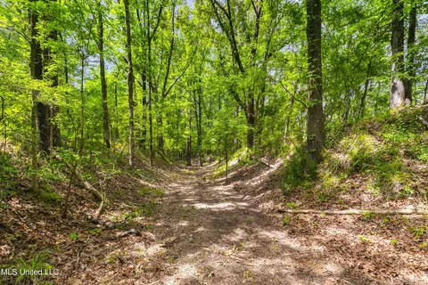 Spring Road, Flora, MS 39071 photo 24