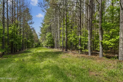 Spring Road, Flora, MS 39071 photo 3